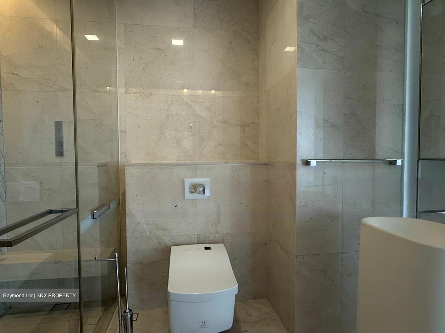 The Scotts Tower (D9), Condominium #491301941